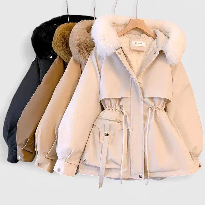 Women's Elegant Jacket | Padded Lining with Cinched Waist Back