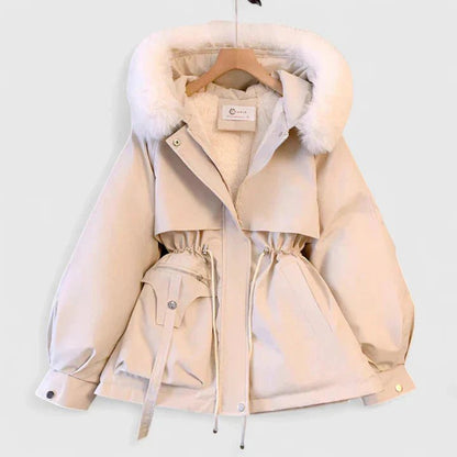 Women's Elegant Jacket | Padded Lining with Cinched Waist Hero